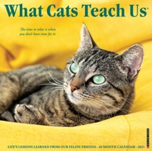 Image for What Cats Teach Us 2021 Wall Calendar