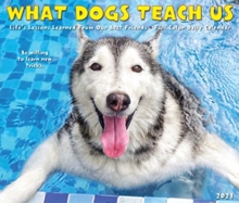Image for What Dogs Teach Us 2021 Box Calendar