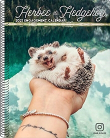 Herbee the Hedgehog 2021 Engagement Calendar