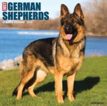 Image for Just German Shepherds 2023 Wall Calendar