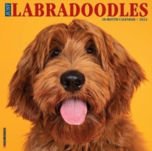 Just Labradoodles 2023 Wall Calendar