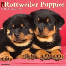 Image for Just Rottweiler Puppies 2023 Wall Calendar