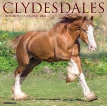 Image for Clydesdales 2024 12 X 12 Wall Calendar