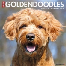 Image for Just Goldendoodles 2024 12 X 12 Wall Calendar