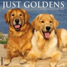 Image for Just Goldens 2024 12 X 12 Wall Calendar