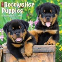 Image for Just Rottweiler Puppies 2024 12 X 12 Wall Calendar