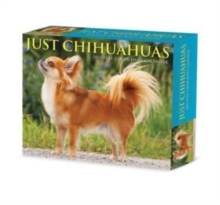 Image for Chihuahuas 2024 6.2 X 5.4 Box Calendar