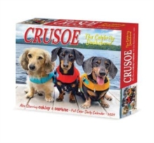 Image for Crusoe the Celebrity Dachshund 2024 6.2 X 5.4 Box Calendar