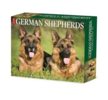 Image for German Shepherds 2024 6.2 X 5.4 Box Calendar