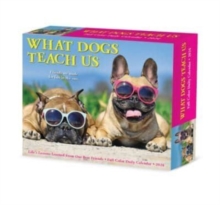 Image for What Dogs Teach Us 2024 6.2 X 5.4 Box Calendar