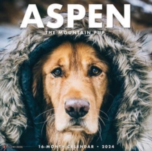 Image for Aspen the Mountain Pup 2024 12 X 12 Wall Calendar