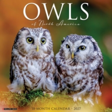 Owls of North America 2027 Wall