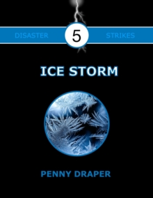 Image for Ice Storm