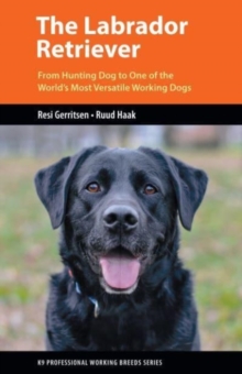 The Labrador Retriever: From Hunting Dog to One of the World’s Most Versatile Working Dogs