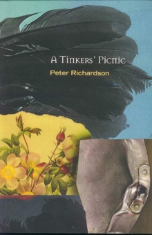 Image for A Tinker's Picnic