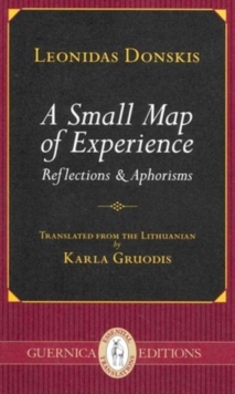 Image for Small Map of Experience