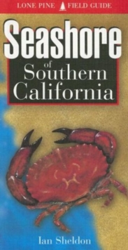 Image for Seashore of Southern California