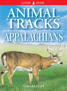 Image for Animal Tracks of the Appalachians