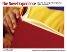 Image for The Novel Experience