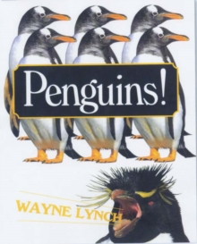 Image for Penguins!