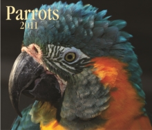 Image for Parrots 2011 Calendar