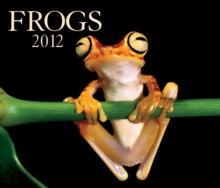 Image for Frogs 2012 Calendar