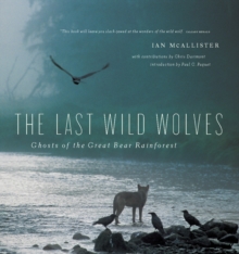 Image for The Last Wild Wolves : Ghosts of the Rain Forest
