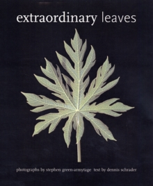 Image for Extraordinary Leaves