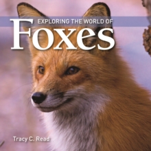 Image for Exploring the world of foxes