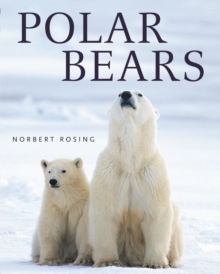 Polar Bears