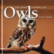 Image for Exploring the world of owls