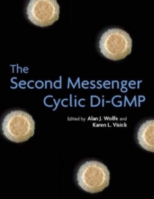 Image for Second messengers