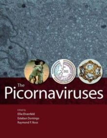 Image for The Picornaviruses