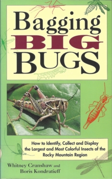 Image for Bagging Big Bugs