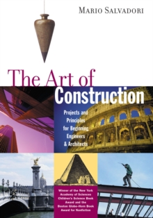 Image for The Art of Construction