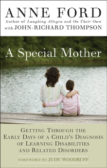 Image for A special mother: getting through the early days of a child's diagnosis of learning disabilities and related disorders