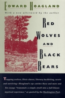 Image for Red Wolves and Black Bears