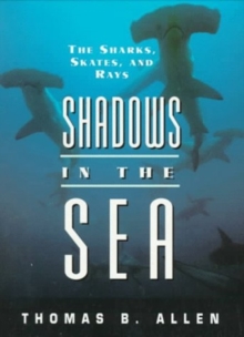 Image for Shadows in the Sea