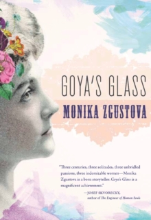 Image for Goya's glass
