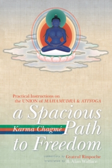 A Spacious Path to Freedom: Practical Instructions on the Union of Mahamudra and Atiyoga