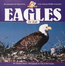 Image for Eagles for Kids