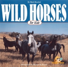 Image for Wild Horses for Kids