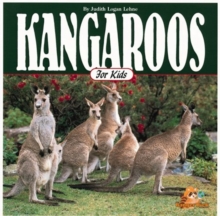 Image for Kangaroos for kids