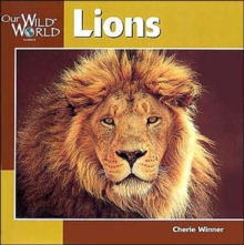 Lions