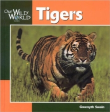 Image for Tigers