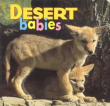 Desert Babies