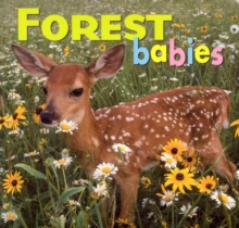 Image for Forest babies