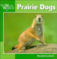 Image for Prairie Dogs