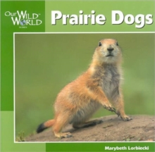 Image for Prairie Dogs
