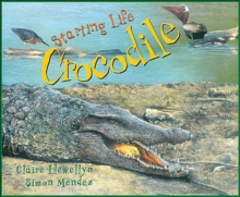Image for Starting Life: Crocodile